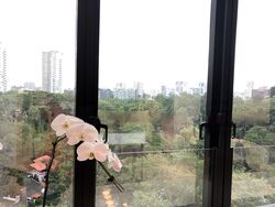 The Scotts Tower (D9), Condominium #466808781